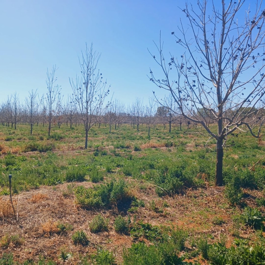  Bedroom Property for Sale in Hartswater Rural Northern Cape